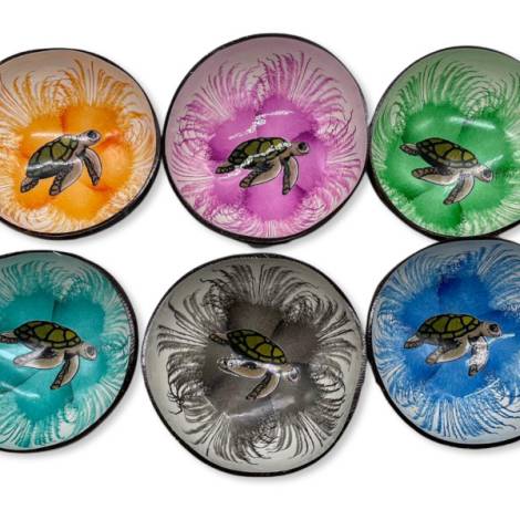506215 - Boco coco flower turtle