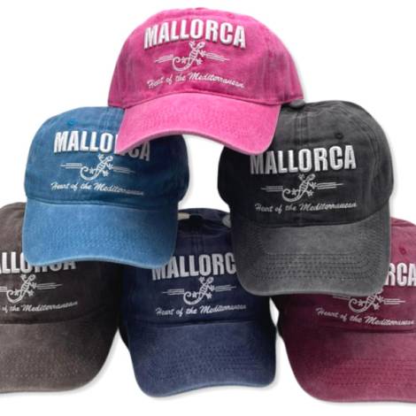 8974093 - Capulina gorra mallorca lizard (pack 24)