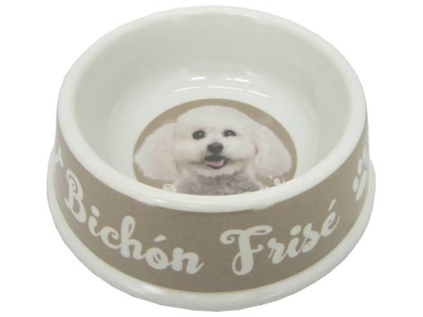 8975107 - Bichon frise bowl 21x6.5cm
