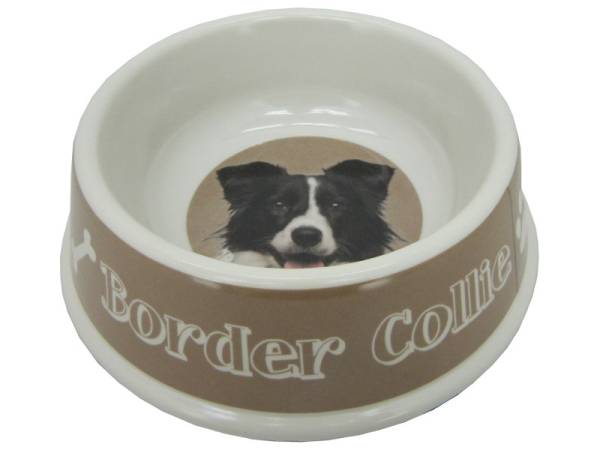8975109 - Border collie bowl 21x6.5cm