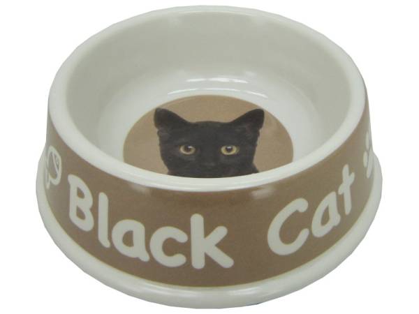 8975113 - Black cat bowl 21x6.5cm