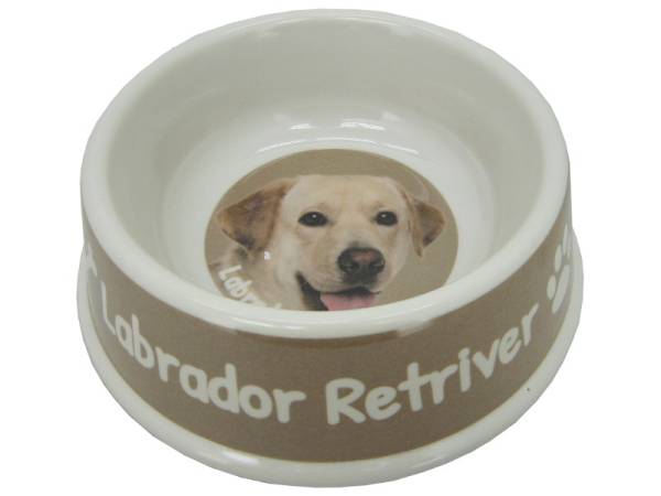 8975115 - Labrador bowl 21x6.5cm