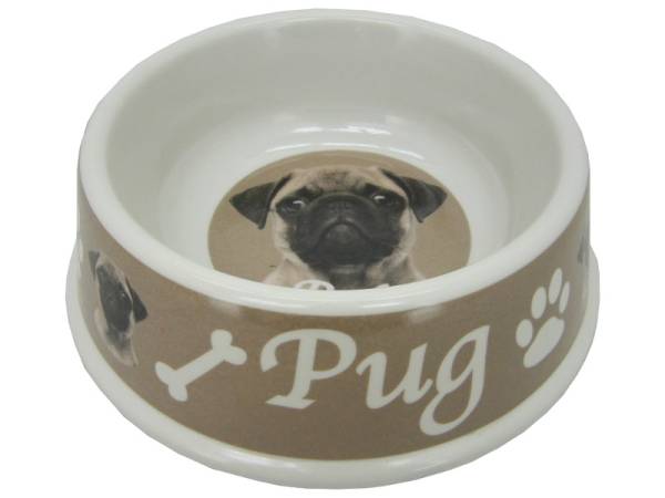 8975116 - Pug bowl bowl 21x6.5cm