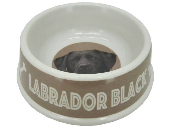 8975119 - Labrador black bowl 21x6.5cm