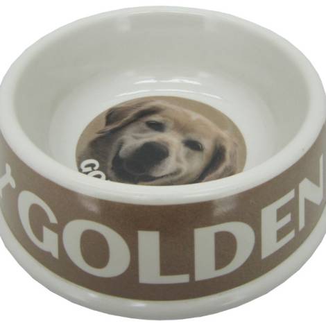 8975128 - Golden retriever bowl 21x6.5cm