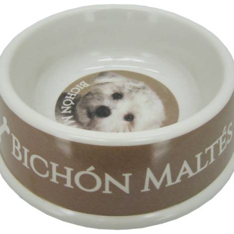 8975129 - Maltese bowl 21x6.5cm