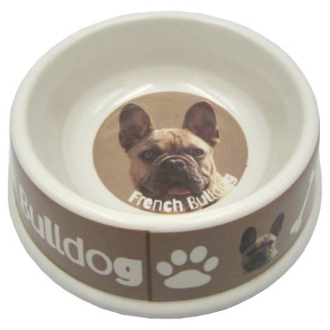 8975130 - French bulldog bowl 21x6.5cm