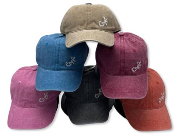 8976594 - Capulina gorra infantil 23-123 gecko
