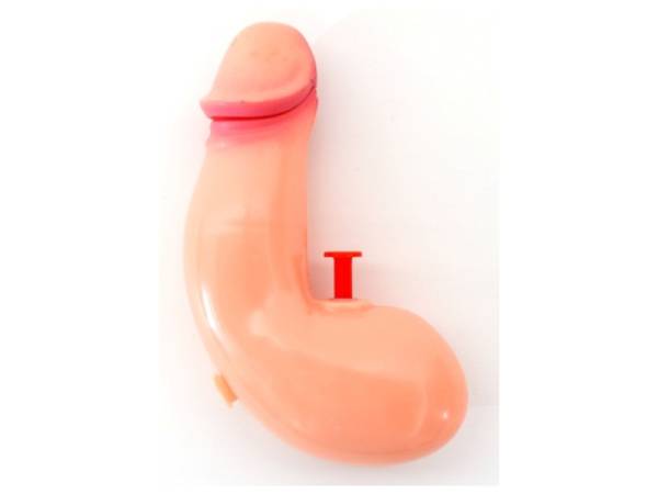8978315 - Jung toys Pistola agua pene 17