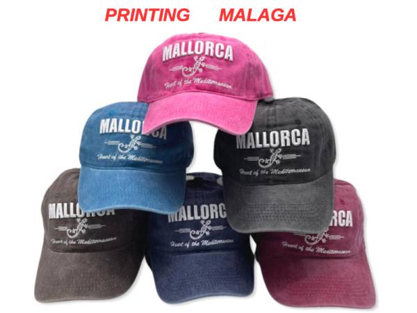 8978636 - Capulina gorra malaga lizard (pack 24)