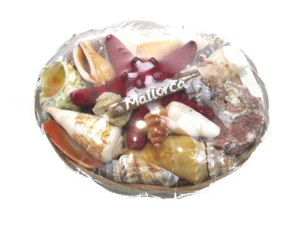 08203 - Cesta de conchas mini mallorca 19-2-245
