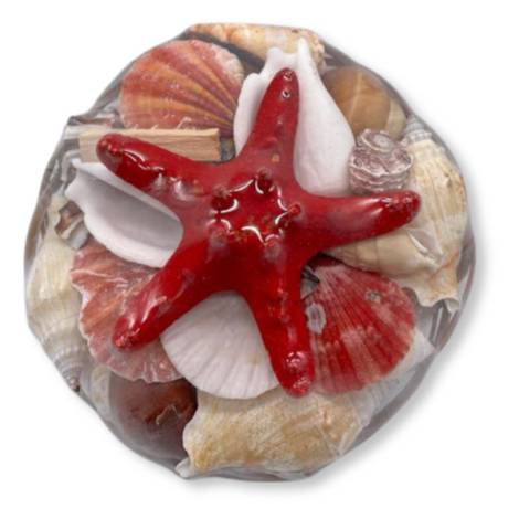 08257 - Cesta de conchas mini ibiza 19-2-245