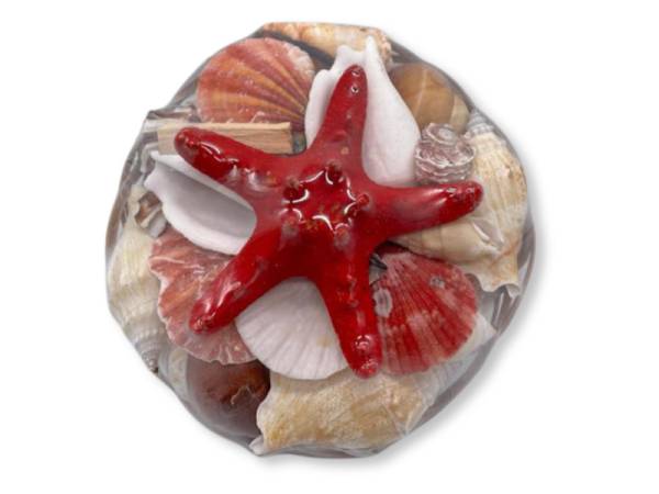 08257 - Cesta de conchas mini ibiza 19-2-245