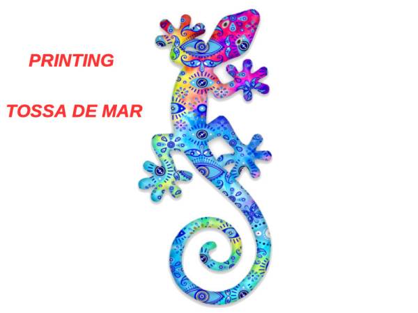 503287 - Iman 3d 24bj0015r Tossa de mar