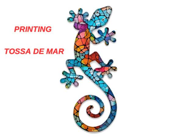 503288 - Iman 3d 24bj0036r Tossa de mar