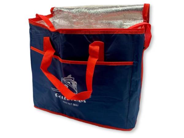 549005 - Bolsa de nevera 29018 44x38x23