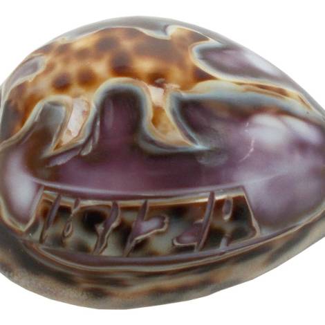 7332823 - Etnico Concha tallada ibiza eg 14