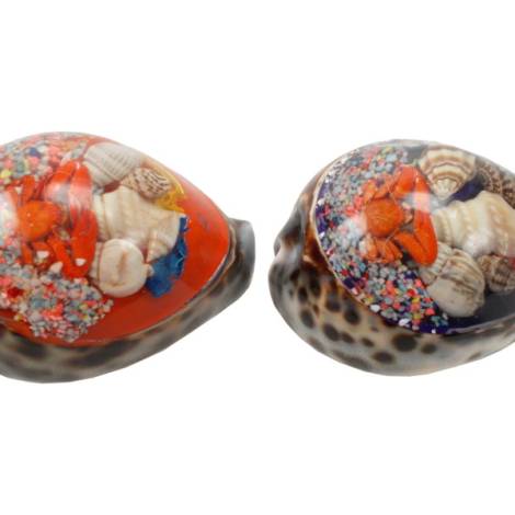 7332824 - Etnico Concha poliresin acuario 7cm