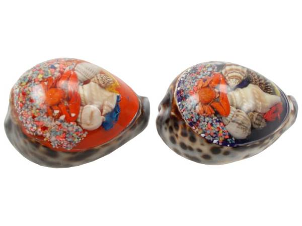 7332824 - Etnico Concha poliresin acuario 7cm