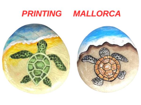 7335181 - Etnico iman piedra tortuga playa Mallorca