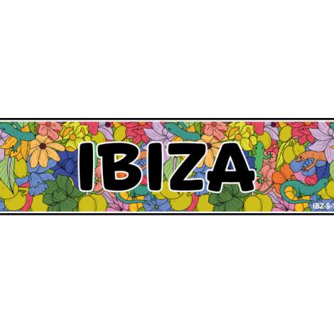8977529 - Matricula lagartos flores Ibiza 52x11.5cm