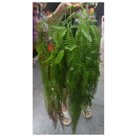 8978167 - Artificial plants n6