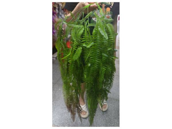 8978167 - Artificial plants n6