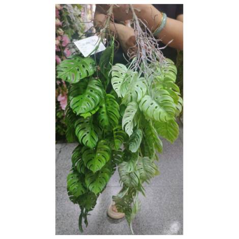 8978168 - Artificial plants n7