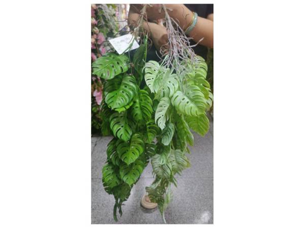 8978168 - Artificial plants n7