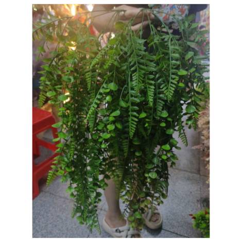 8978169 - Artificial plants n9
