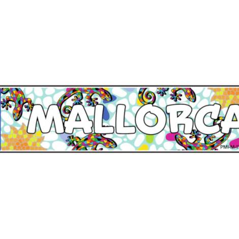 8978329 - Matrícula Mallorca 6