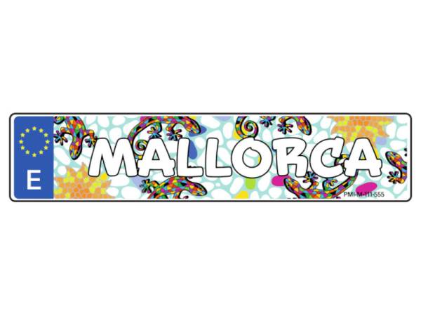 8978329 - Matrícula Mallorca 6