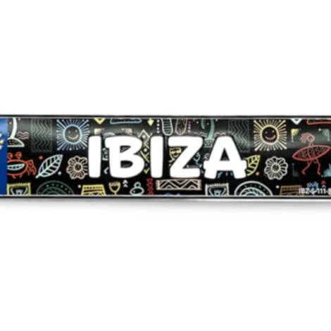 8978331 - Matrícula Ibiza 4