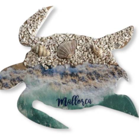 905289 - Iman tortuga ls239335 Mallorca