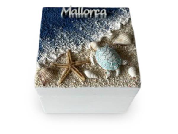 905310 - Caja ls24-7013c mallorca