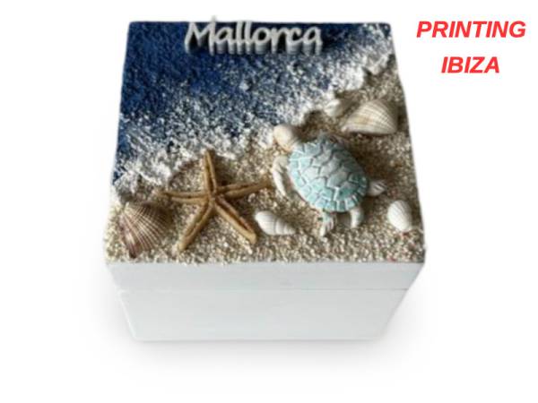 905332 - Caja ls24-7013c Ibiza