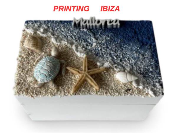 905333 - Caja ls24-701c Ibiza