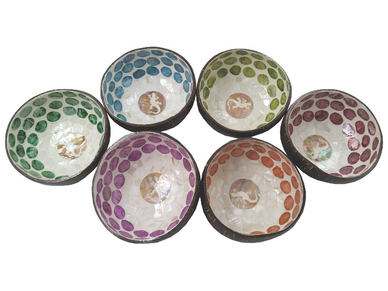 506095 - Boco coco lagarto