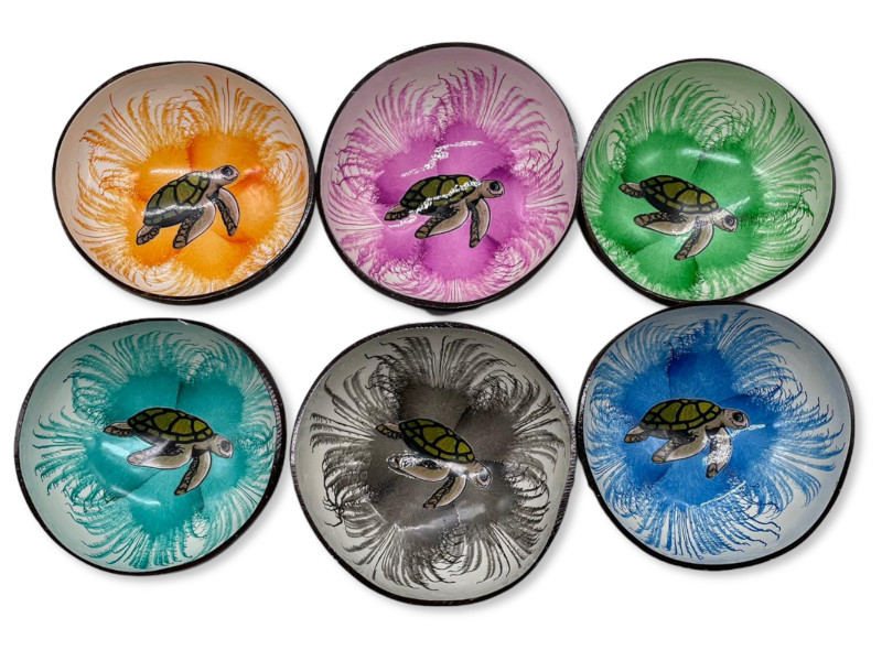 506215 - Boco coco flower turtle