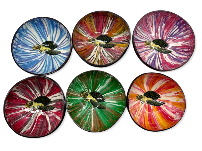 506216 - Boco coco tourtle