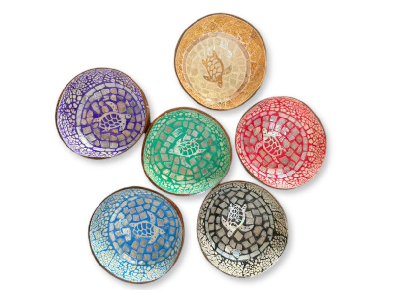 506402 - Boco coco car 12 tortuga