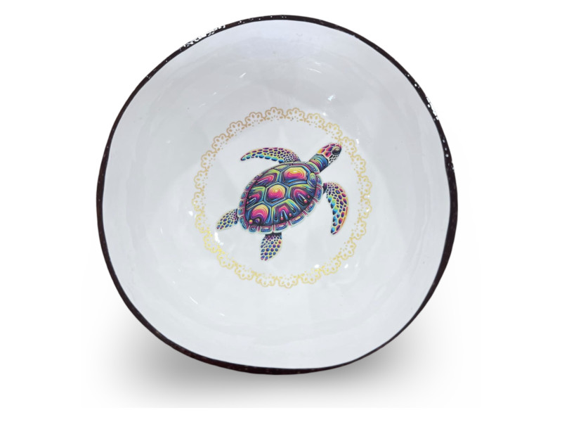 506442 - Boco coco tortuga colores