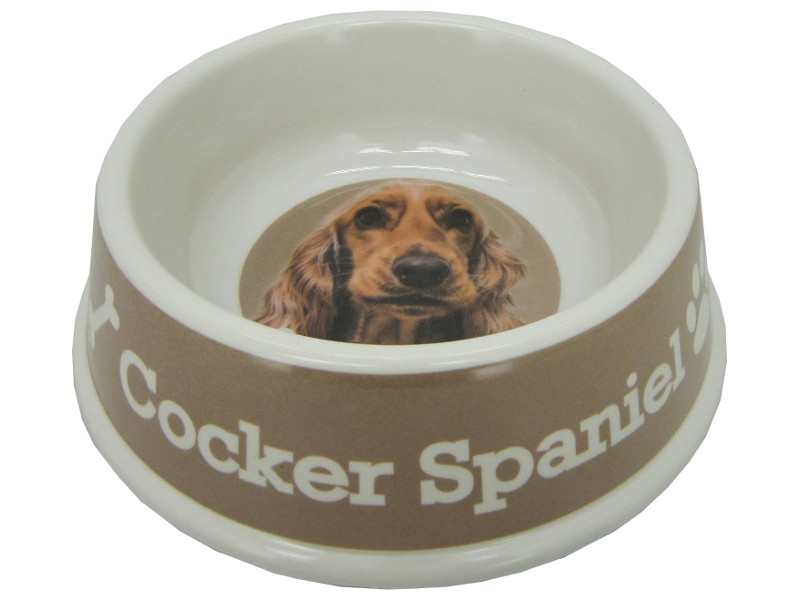 8975112 - Cocker spaniel bowl 21x6.5cm