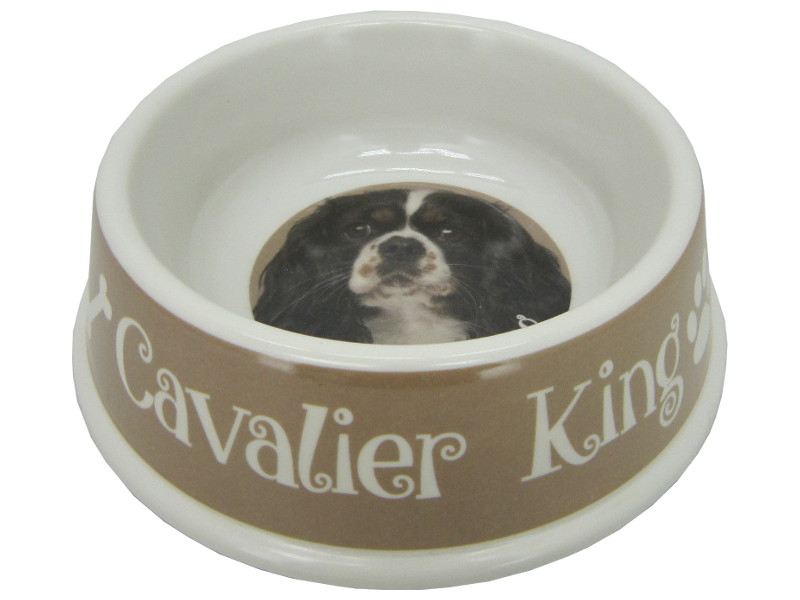 8975114 - Cavalier king charles brown bowl 21x6.5cm