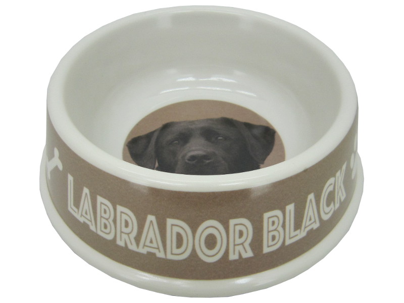 8975119 - Labrador black bowl 21x6.5cm
