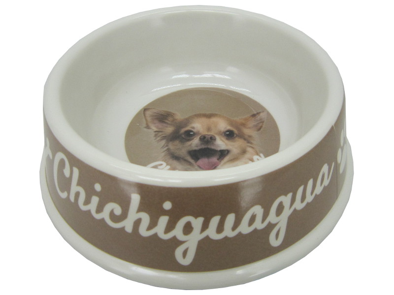 8975122 - Chihuahua bowl 21x6.5cm