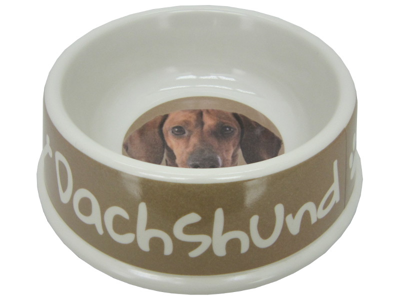 8975124 - Dachshund bowl 21x6.5cm