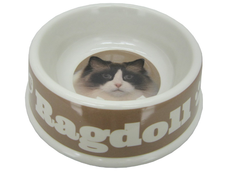 8975126 - Ragdoll cat bowl 21x6.5cm