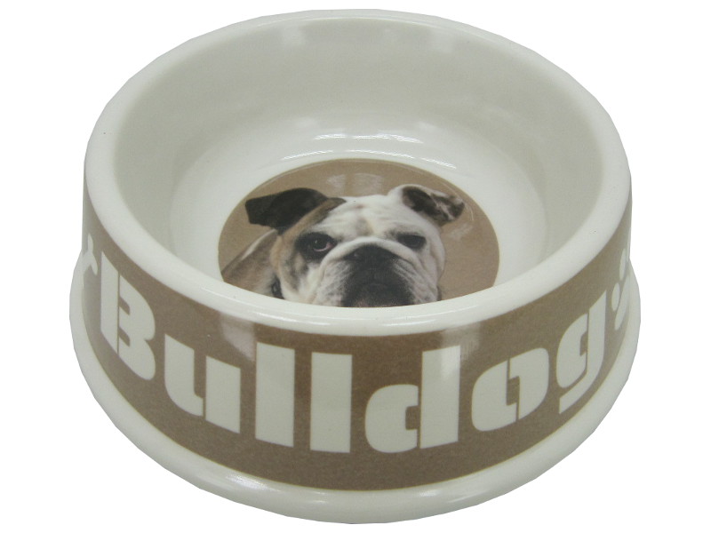 8975127 - Bulldog bowl 21x6.5cm