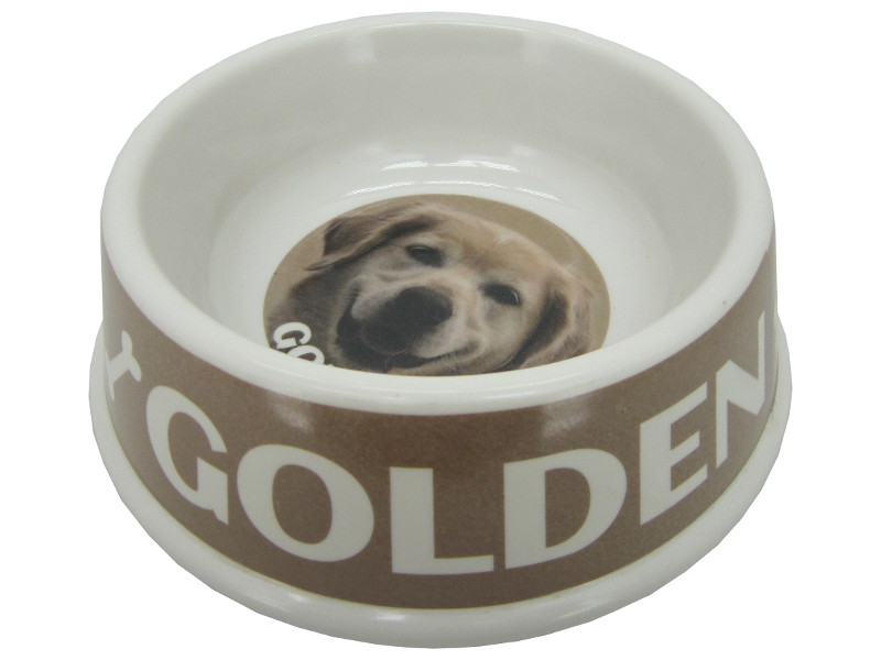 8975128 - Golden retriever bowl 21x6.5cm